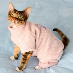 Cat Clothes Winter Warm Pet Cat Jumpsuit Hoodies Soft Fleece Kitten