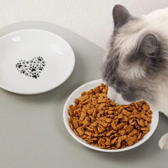 5.5inch Eco-Friendly Ceramic Flat Cat Plates Indoor Cats Shallow Bowls Whisker-Friendly Wet Food Dishes for Cute Kittens