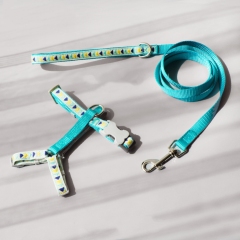 Cat and small dog anti-escape harness