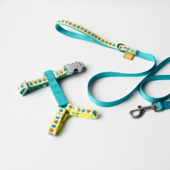 Cat and small dog anti-escape harness