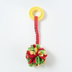 Pet Dog Chew Toys Eco Friendly Interactive TPR Hidden Food Ring Bungee