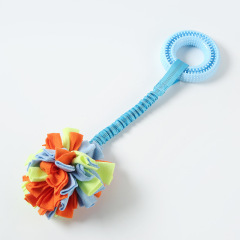 Pet Dog Chew Toys Eco Friendly Interactive TPR Hidden Food Ring Bungee
