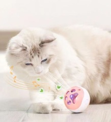 Electric cat toy ball