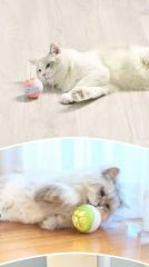 Electric cat toy ball