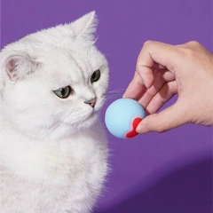 Automatic Electric Cat Ball Shine Love Heartbeat Training Game Smart Bouncing Dog Ball Rolling Round Pet Toy Interactive Cat Toy