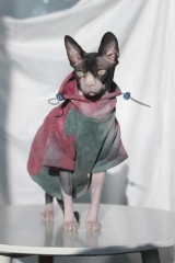 DUOMASUMI Sphynx Hairless Cat Clothes Devon Rex Clothing Autumn Winter Fleece-lined Warm Cats Jacket For Small Dog Cat Hoodie