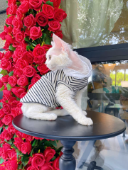Summer pure cotton striped vest