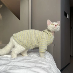 Green Striped Hooded Sweatshirt for Sphinx Cat in Autumn Long Sleeves Warm Coat for Devon Rex Soft Spring Costume for Kittens