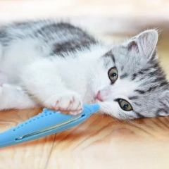 NEW Cat Teeth Brushing Toy Teeth Cleaning Cat Stick Fish-shaped Silicone Toy Chew Resistant Interactive Toys Catnip Pet Supplies