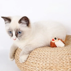 Hot Sale Pet Interactive Electronic Plush Cat Toy Automatic Chirping Bird Song Cat Toy with Feather Tail