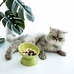 CLEARANCE SALE-Ceramic Bowl Gradient Pet Food Water Feeders Small Dogs Drinking Eating Supplies Raised Tilted Cats Feeding Bowl