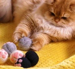 New 2025 Best-selling Catnip, Handcrafted Felt Paw Ball cat Toy Made of New Zealand Wool