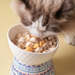 Tilted Elevated Cat Bowl Ceramic Cat Dog Bowl Dish Anti Vomiting Pet Food Water Feeder Raised Dog Bowl Pet Accessories