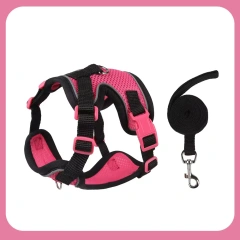 cat Chest Harness and Leash, Anti-Escape Adjustable Soft mesh cat Leash and Chest Harness Set for All Types of Cats