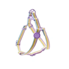 Fashionable Pet Collar & Comfort Dog Harness Vest Pet Leash for Small Medium Dogs Outdoor Pet Walking Accessories