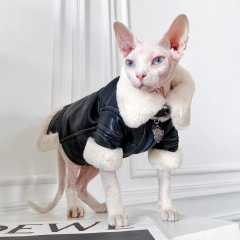 Fashion Sphynx Cat Leather Biker Jacket Fur Coat Kitten Cat Clothes Luxury Warm Costumes For Sphinx Devon Cat ropa para gato