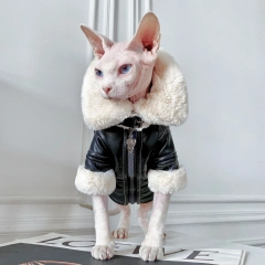 Fashion Sphynx Cat Leather Biker Jacket Fur Coat Kitten Cat Clothes Luxury Warm Costumes For Sphinx Devon Cat ropa para gato