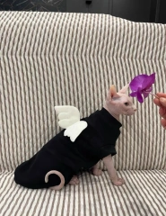 Hairless Cat Clothes with Angel Wings Sphynx Cute Black Short Sleeves for Sphynx Cat Spring Summer Cat Clothes