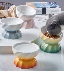 Ceramic cat bowl for pets
