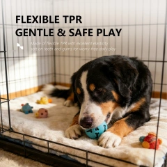 Nunbell Durable Dog Toys TPR Hollow Bone & Paw Chew with Squeaker for Teeth Cleaning and Indoor Use