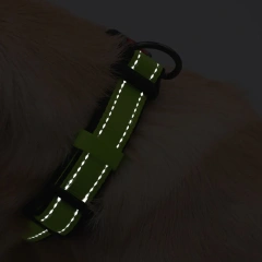 Reflective Padded Dog Collar Durable Strong Double D Ring Safety Nylon Pet Dog Collars Adjustable for Small Medium Large Dogs