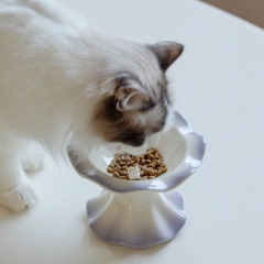 Ceramic Pet Bowl Cat Small Dogs Elevated Food Water Feeders Puppy Raised Drinking Eating Supplies Gradient Color Anti-slip