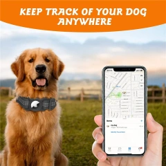 Reflective Dog Collar Nylon Adjustable GPS Training Tracker AirTag Dog Collar With Buckle Pet Collar