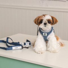 Small dog and cat harness
