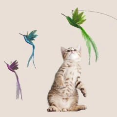 Simulation Bird Cat Toys Funny Interactive Peacock with Bell Cat Stick Toy for Kitten Playing Teaser Wand Toys Pet Cats Supplies
