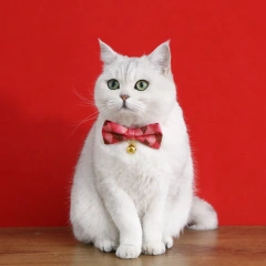 Printable Cat Collar Bell With Paper Label Bowtie Dog Cats Rabbit Collars Necklace Wholesale Supply