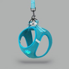 Pet glow-in-the-dark paw print harness