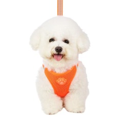 Pet glow-in-the-dark paw print harness