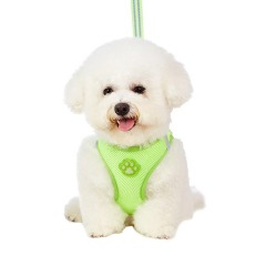 Pet glow-in-the-dark paw print harness