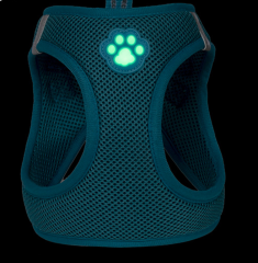 Pet glow-in-the-dark paw print harness