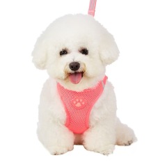 Pet glow-in-the-dark paw print harness