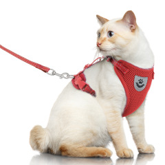Pet Harness with Leash Set