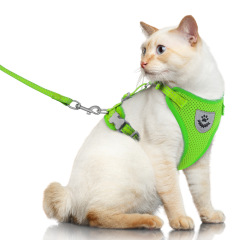 Pet Harness with Leash Set