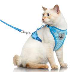 Pet Harness with Leash Set