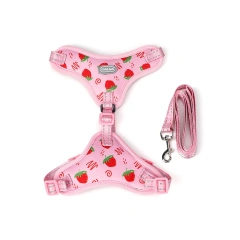 Lovely Fashion Strawberry Print Soft Air Mesh High Quality Pet Dog Cat Harness with Leash Set