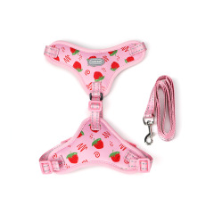 Pet Cat Harness with Leash Set