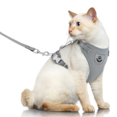 Pet Harness with Leash Set