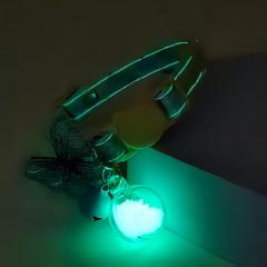glow-in-the-dark pet collar
