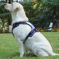 AXYC Dog Harness Nameplate Vest Adjustable Training Vest Pet Strong Training Walking Swimming Hiking Nameplate