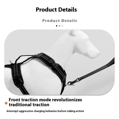 Super Breathable And Comfortable Dog Leash, Necessary For Training. Yiwu Pet Products.