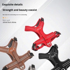 Super Breathable And Comfortable Dog Leash, Necessary For Training. Yiwu Pet Products.