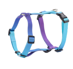 Dog Collar Leash Set