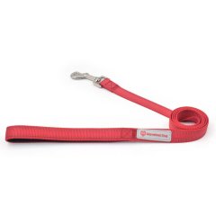 Nylon Dog Collar with Adjustable Reflective