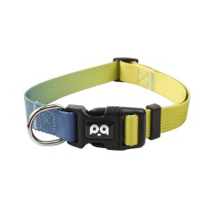 Dog Collar Leash Set