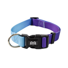 Dog Collar Leash Set