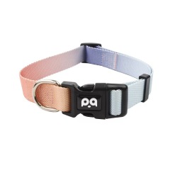 Dog Collar Leash Set